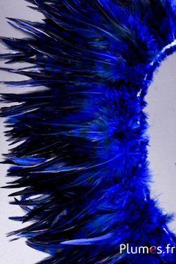 Frange coq chin roux - long. plumes 10-15 cm - bleu